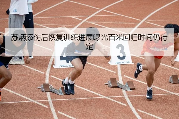 苏炳添伤后恢复训练进展曝光百米回归时间仍待定